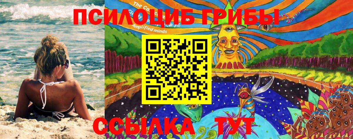 Псилоцибиновые грибы прущие грибы Соль-Илецк