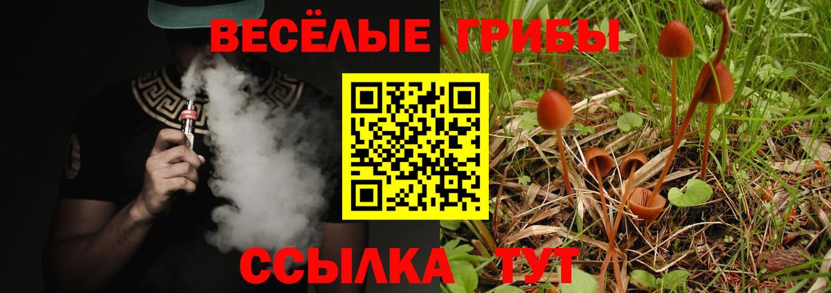 Псилоцибиновые грибы прущие грибы  Вход с VPN  Соль-Илецк  Галлюциногенные грибы мухоморы 